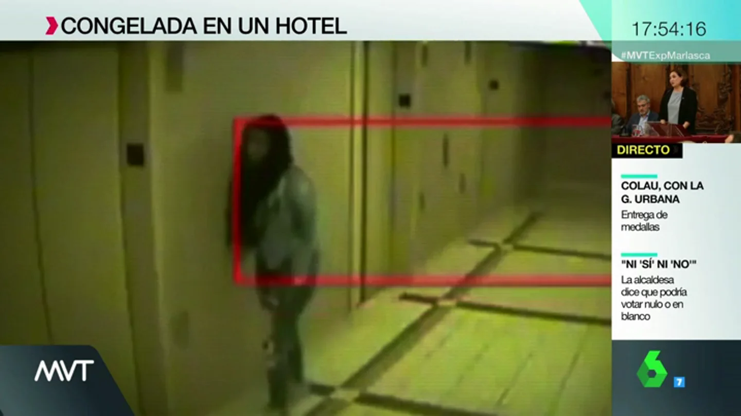 congelador congelador