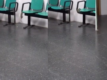 Una rata en el Hospital de la Línea Una rata en el Hospital de la Línea