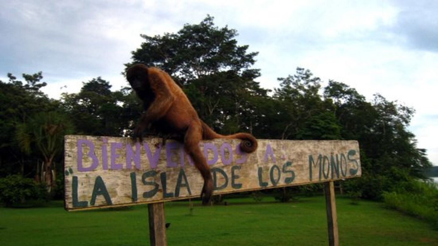 La Isla de los Monos en Per&uacute;