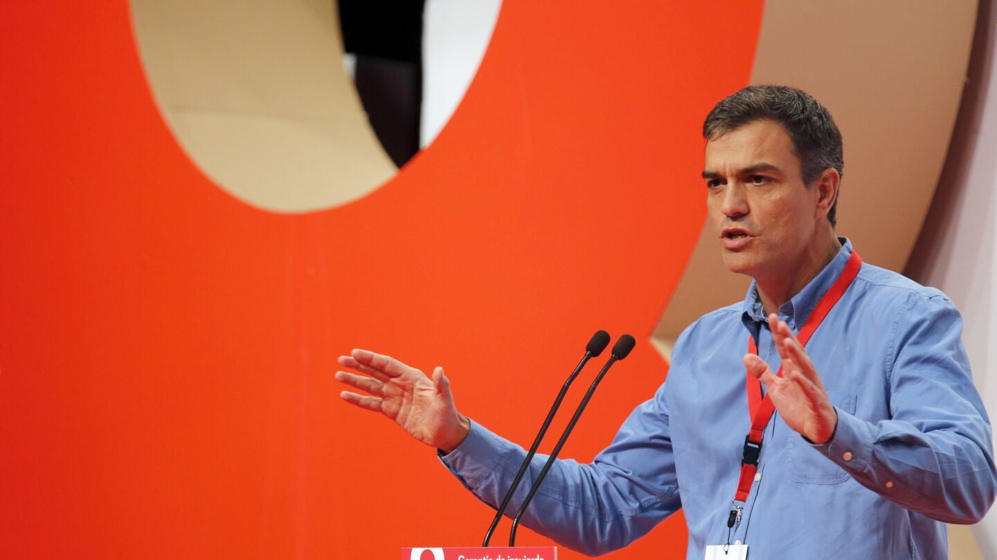 El secretario general del PSOE, Pedro S&aacute;nchez, durante su intervenci&oacute;n en el VIII Congreso que el PSE-EE