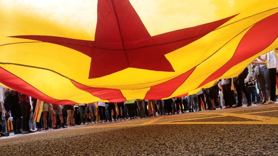 La estelada pasea por las calles de Barcelona La estelada pasea por las calles de Barcelona