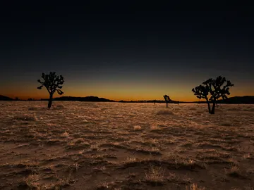 En el Plutoceno, la gente que viva cerca de la costa se verá obligada a huir a zonas más altas En el Plutoceno, la gente que viva cerca de la costa se verá obligada a huir a zonas más altas