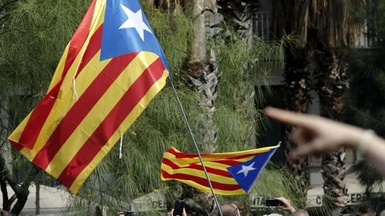 Dos esteladas ondeando Dos esteladas ondeando