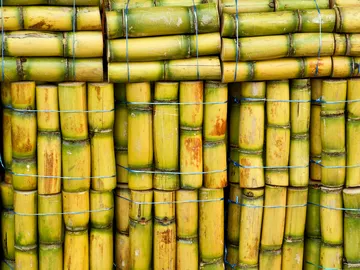 Esto es lo que debes comer si el estrés te quita el sueño Esto es lo que debes comer si el estrés te quita el sueño