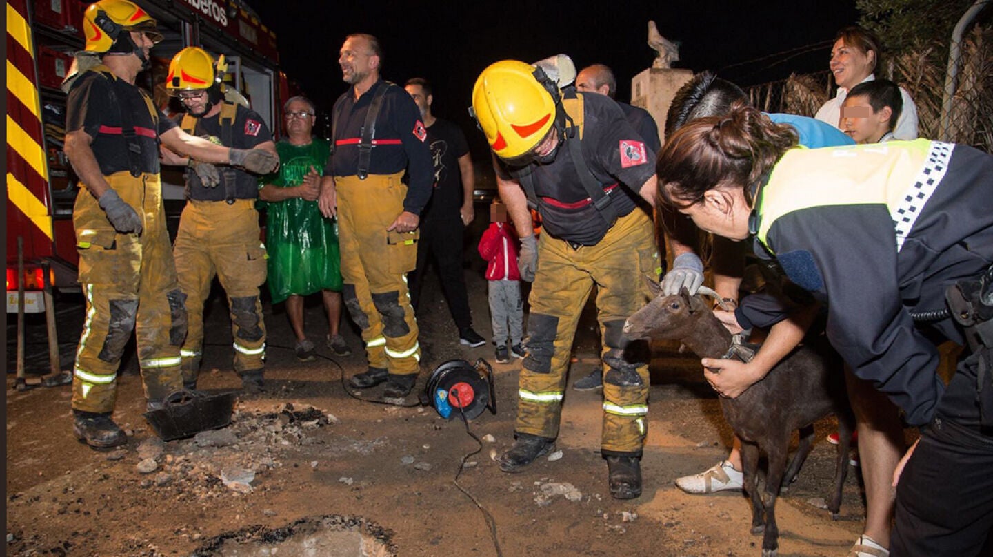 Rescate de una cabra en Alicante