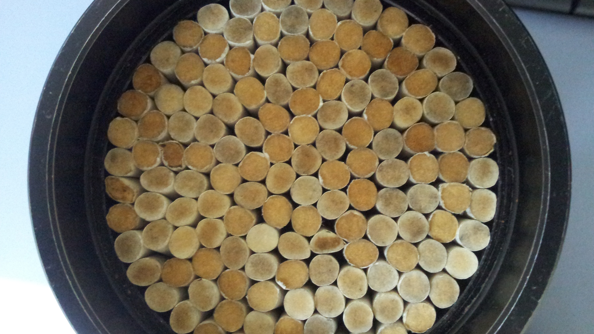 Las colillas de cigarrillos posible nuevo material absorbente del sonido