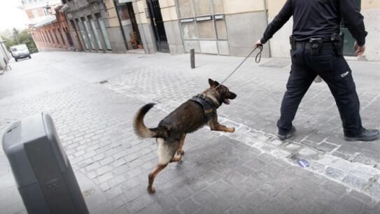 Convenio Europeo de Protecci&oacute;n de Animales de Compa&ntilde;&iacute;a