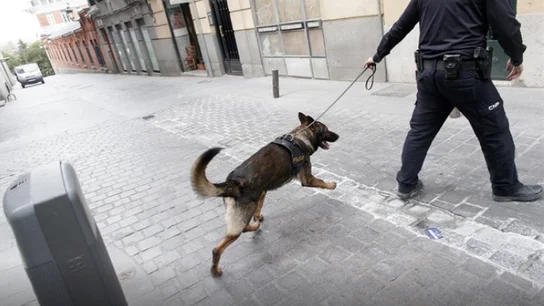 Convenio Europeo de Protección de Animales de Compañía Convenio Europeo de Protección de Animales de Compañía