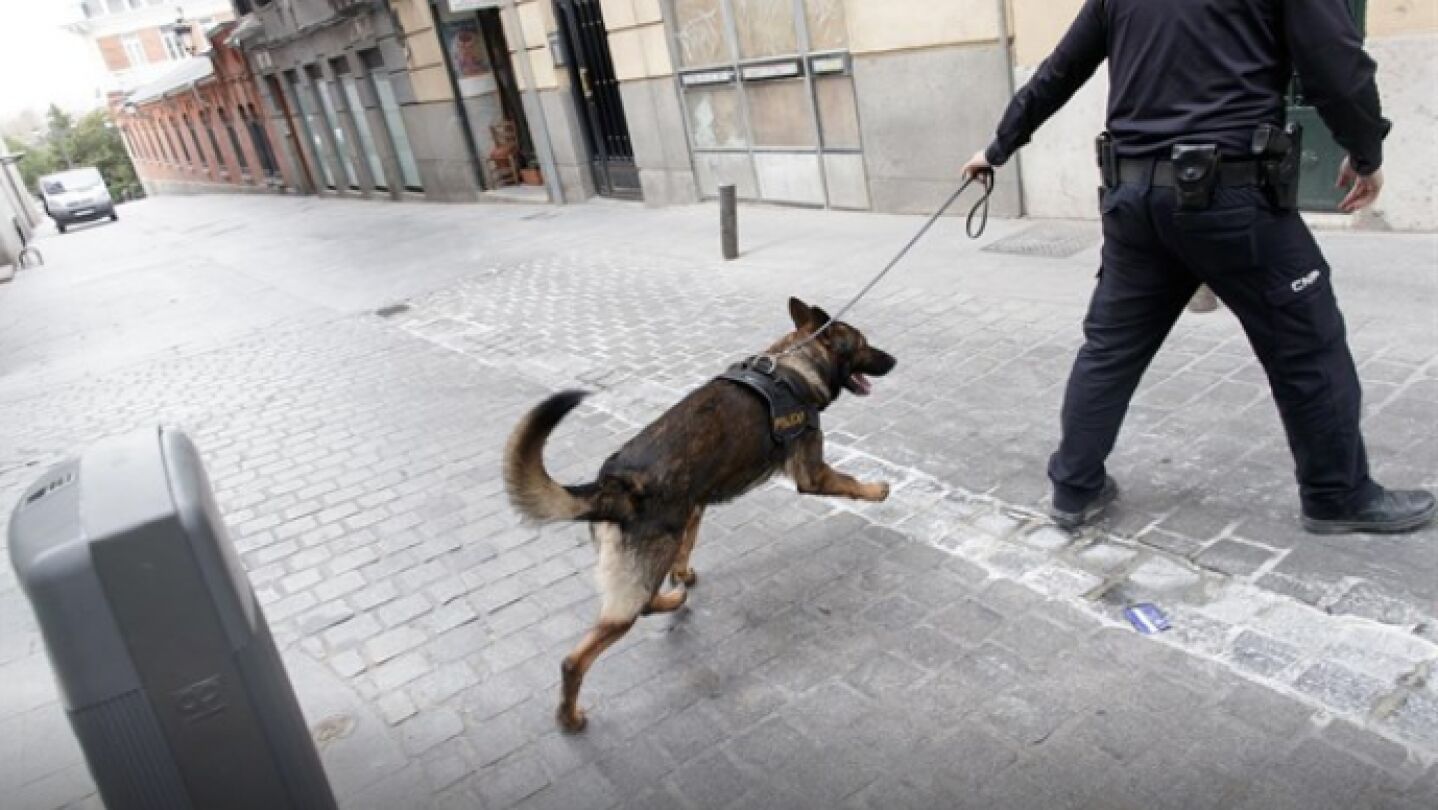 Convenio Europeo de Protecci&oacute;n de Animales de Compa&ntilde;&iacute;a