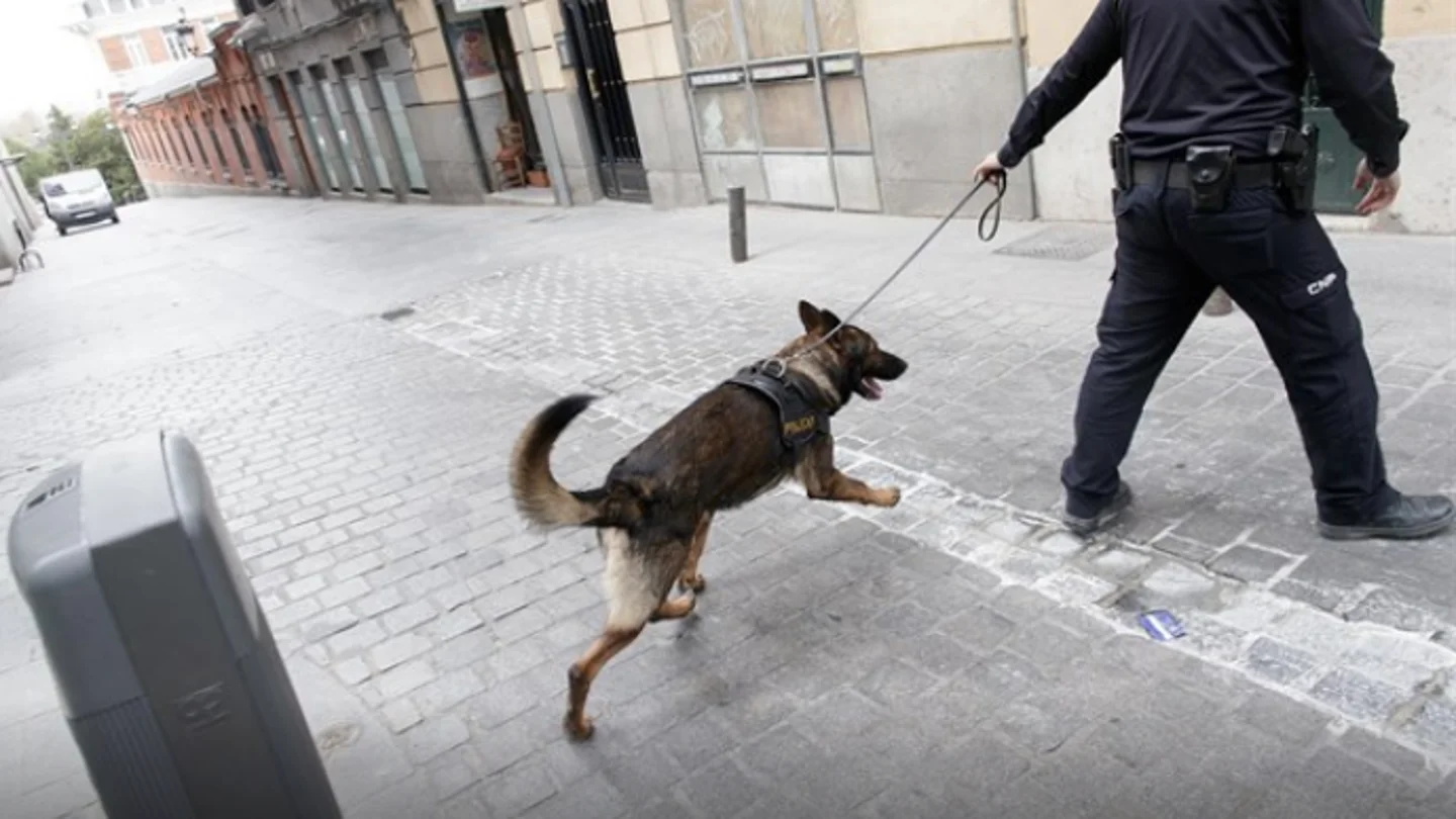 Convenio Europeo de Protección de Animales de Compañía Convenio Europeo de Protección de Animales de Compañía