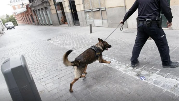 Convenio Europeo de Protección de Animales de Compañía