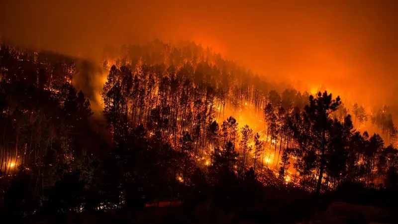 Incendio en el parque natural de Xurés, Ourense