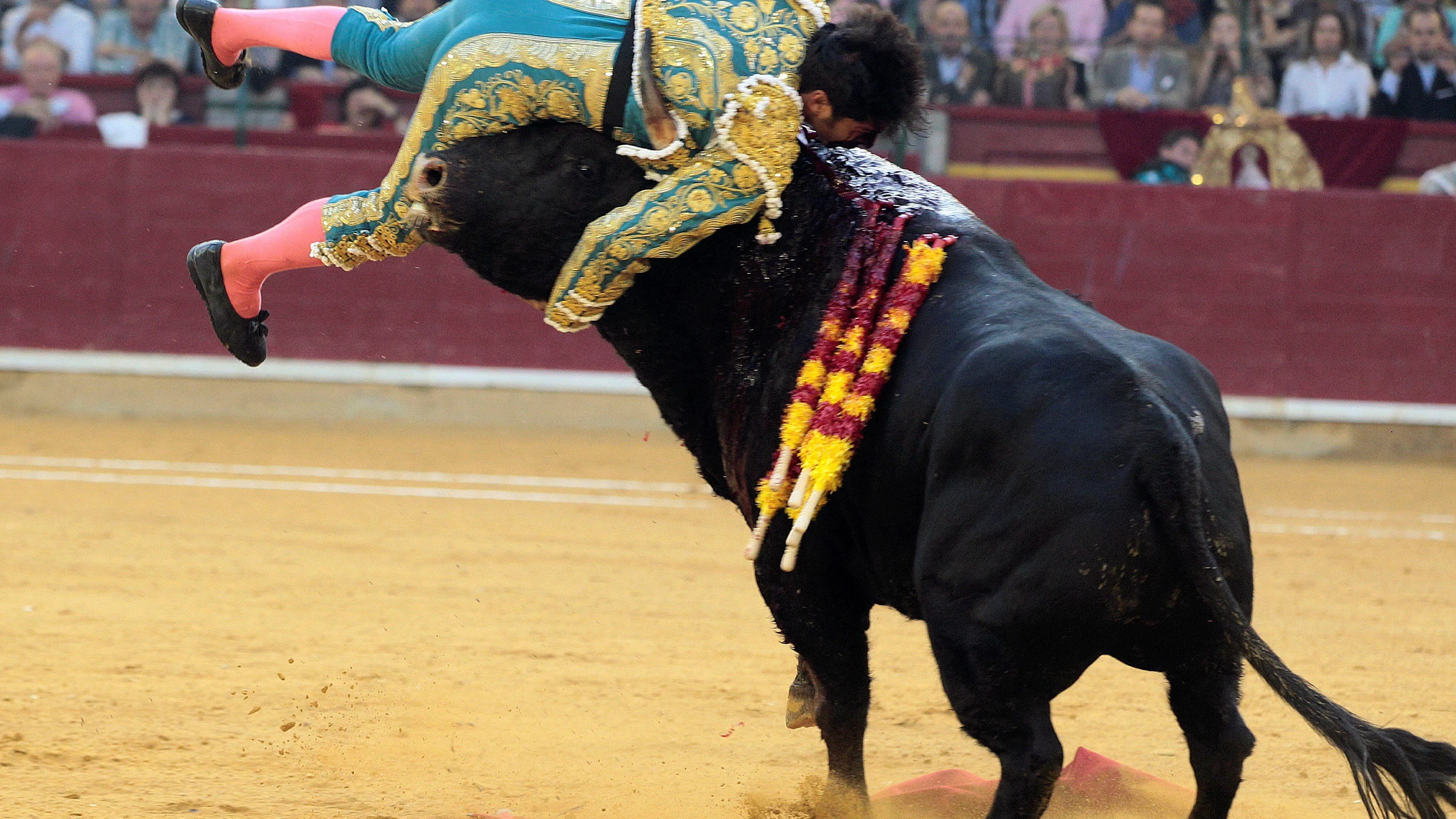 Cogida a Cayetano Rivera en Zaragoza