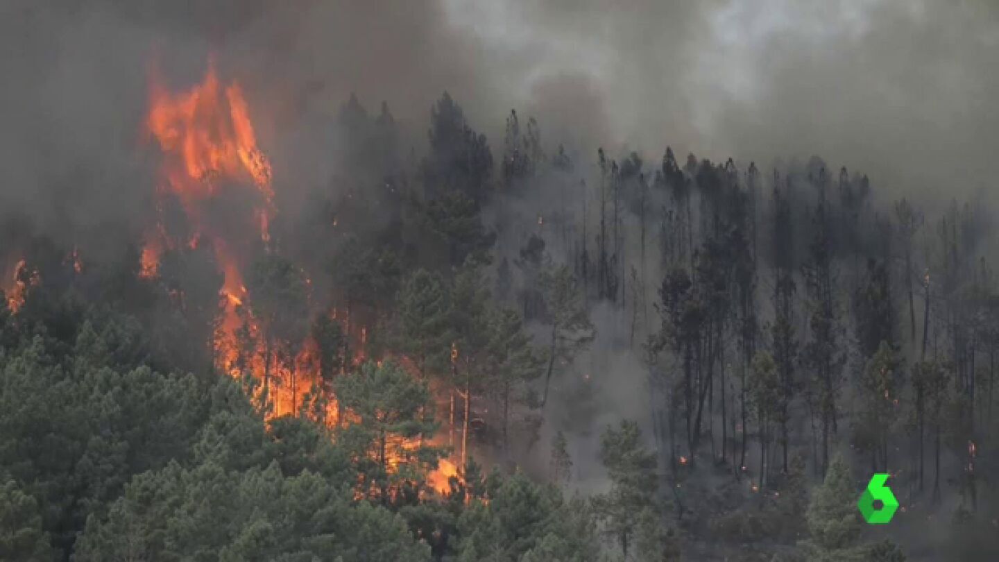 Las llamas arrasan m&aacute;s de 800 hect&aacute;reas en Ourense
