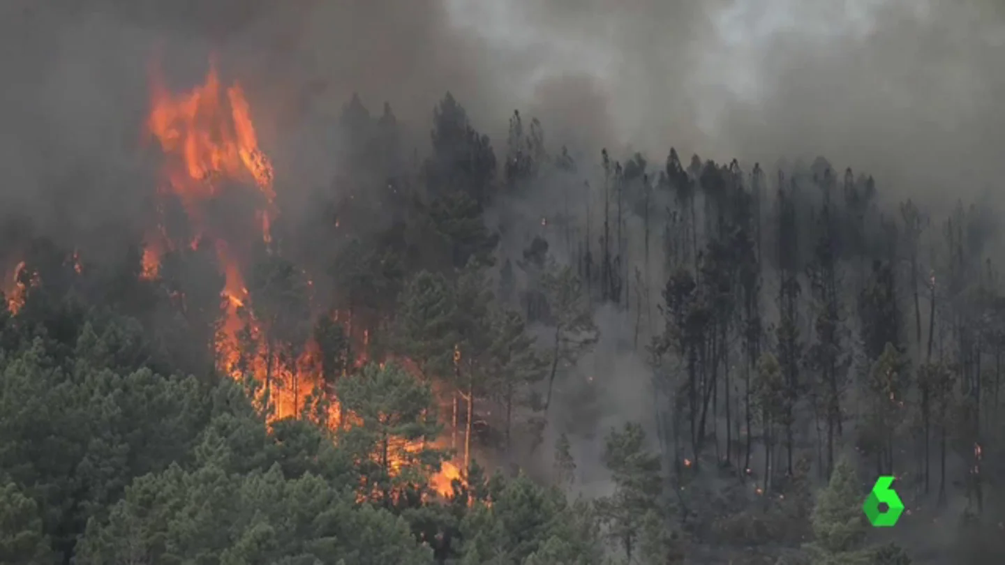 Las llamas arrasan más de 800 hectáreas en Ourense Las llamas arrasan más de 800 hectáreas en Ourense