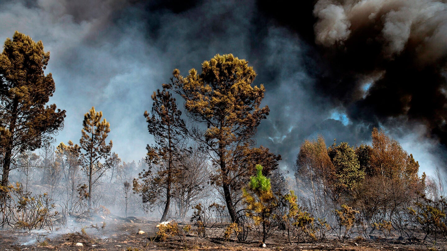 Vista general del incendio forestal que permanece activo en el municipio orensano de Vilamar&iacute;n