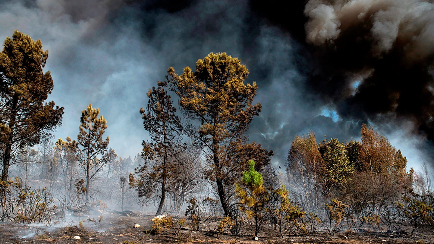 Incendio en Galicia (13-10-2017) Vista general del incendio forestal que permanece activo en el municipio orensano de Vilamarín