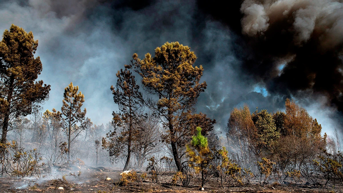 Vista general del incendio forestal que permanece activo en el municipio orensano de Vilamarín