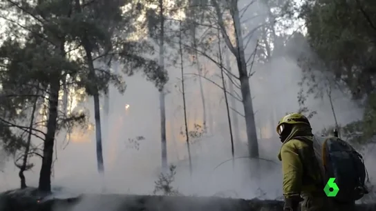 El aterrador balance de incendios en Galicia en lo que va de otoño El aterrador balance de incendios en Galicia en lo que va de otoño
