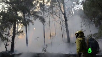 El aterrador balance de incendios en Galicia en lo que va de otoño