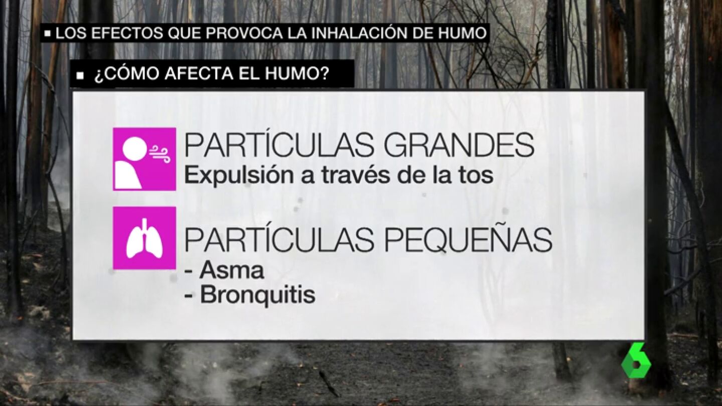 &iquest;C&oacute;mo afecta el humo en nuestra salud?