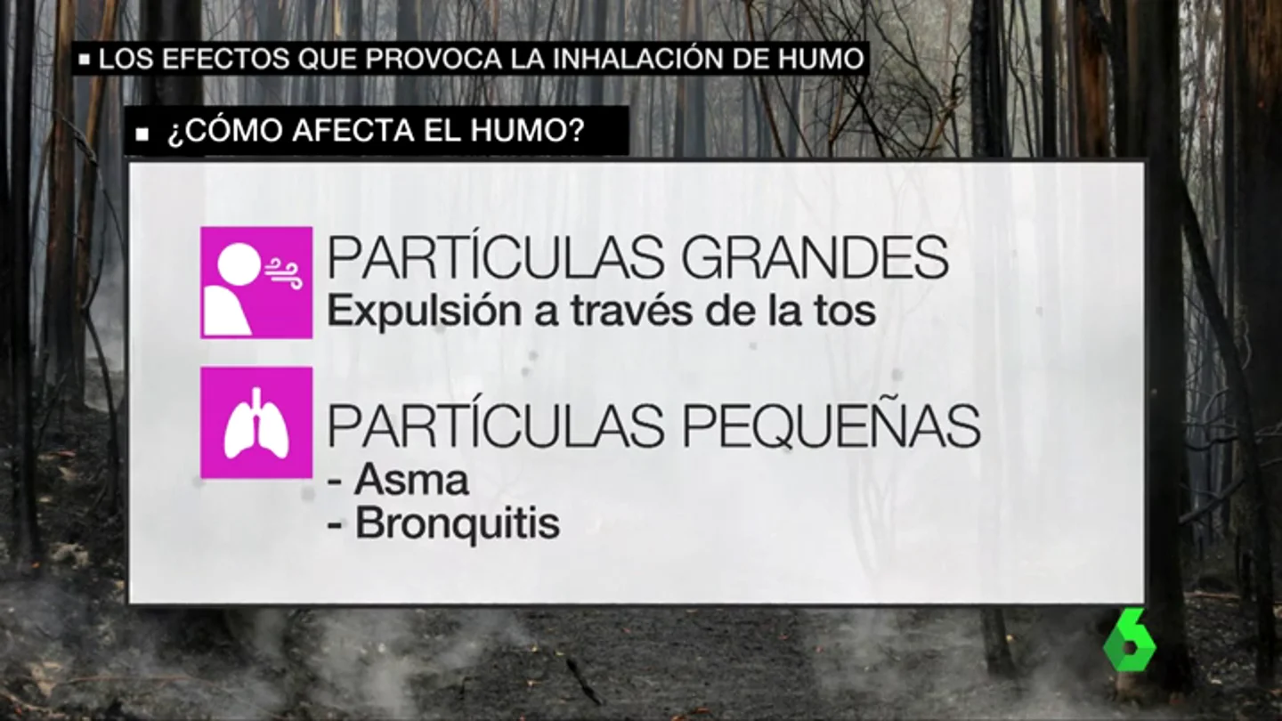 ¿Cómo afecta el humo en nuestra salud? ¿Cómo afecta el humo en nuestra salud?