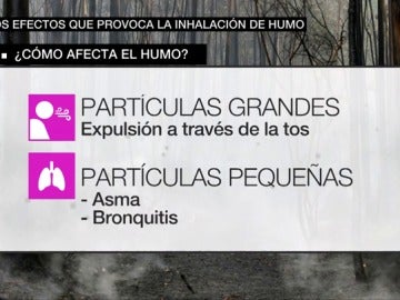 ¿Cómo afecta el humo en nuestra salud? ¿Cómo afecta el humo en nuestra salud?