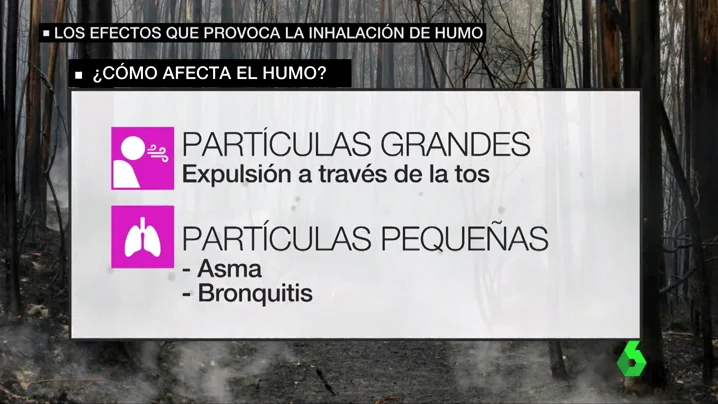 ¿Cómo afecta el humo en nuestra salud?