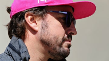 Fernando Alonso