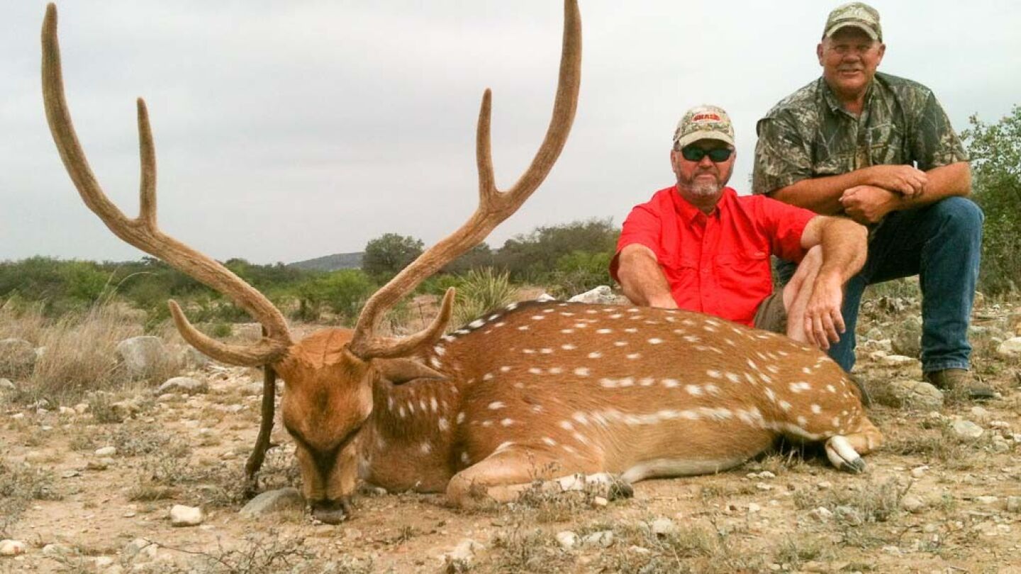 Uno de los animales en peligro de extinci&oacute;n en el Rancho Ox