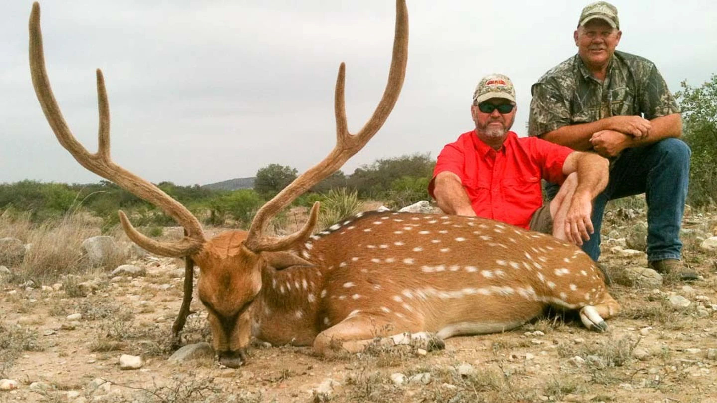 Uno de los animales en peligro de extinción en el Rancho Ox Uno de los animales en peligro de extinción en el Rancho Ox
