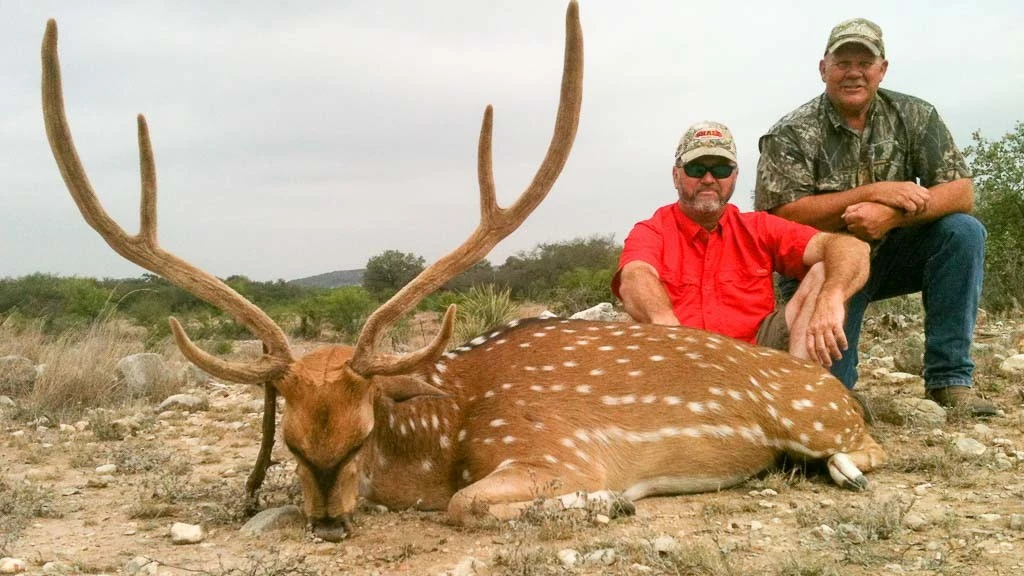 Uno de los animales en peligro de extinción en el Rancho Ox