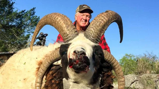 Uno de los animales en peligro de extinción en el Rancho Ox Uno de los animales en peligro de extinción en el Rancho Ox