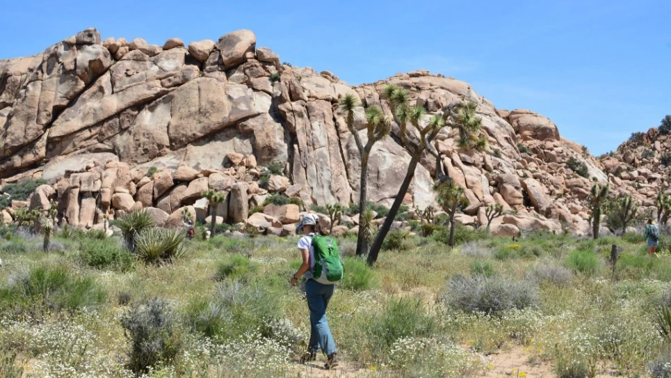 Una joven marcha por un sendero del Parque Nacional Joshua Tree