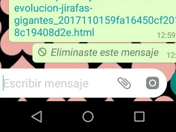 Borrar mensajes en WhatsApp Borrar mensajes en WhatsApp