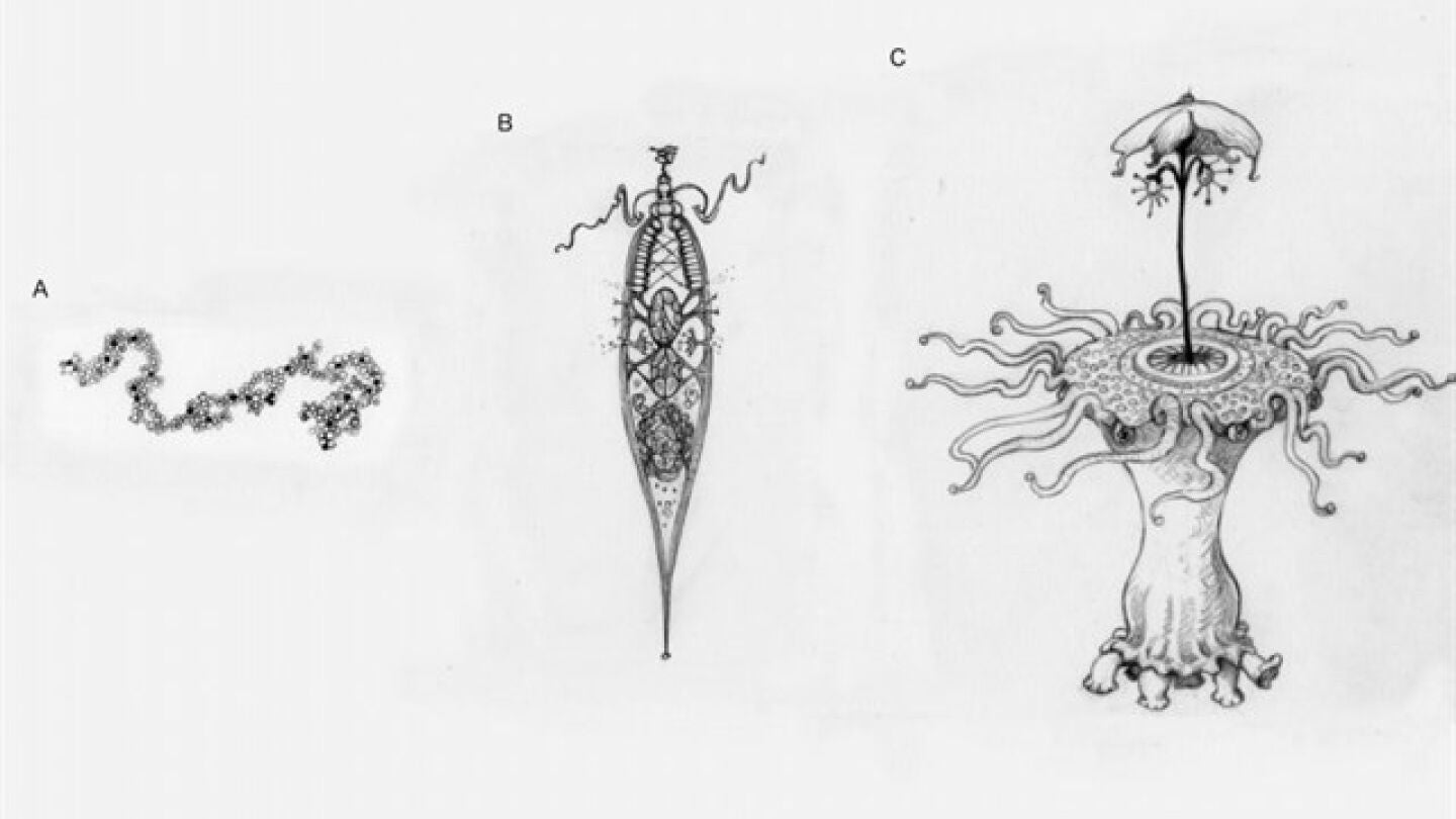 Los extraterrestres pueden ser m&aacute;s parecidos a nosotros de lo que nos pensamos 