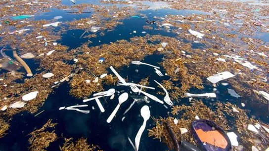 Imagen de la contaminación en el mar Imagen de la contaminación en el mar