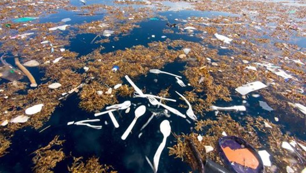 Imagen de la contaminación en el mar