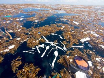 Imagen de la contaminación en el mar Imagen de la contaminación en el mar
