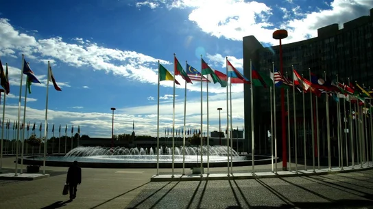 Organización de las Naciones Unidas (ONU) Organización de las Naciones Unidas (ONU)