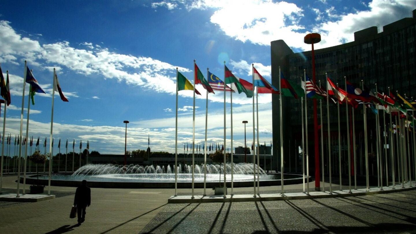 Organizaci&oacute;n de las Naciones Unidas (ONU)