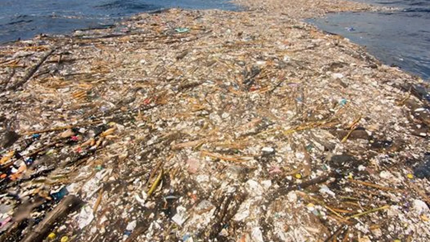 Imagen de la contaminación en el mar Imagen de la contaminación en el mar