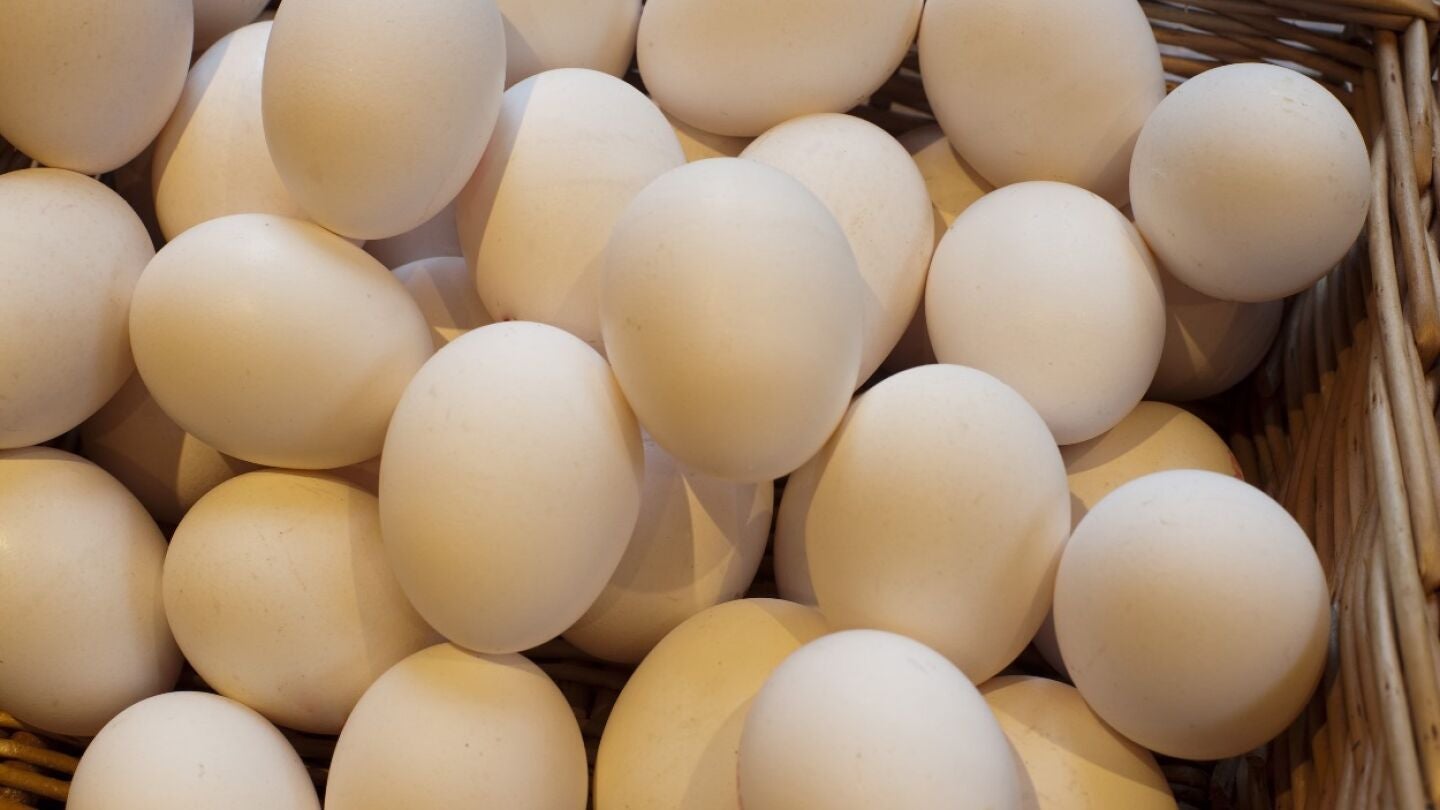 Imagen de archivo de huevos blancos