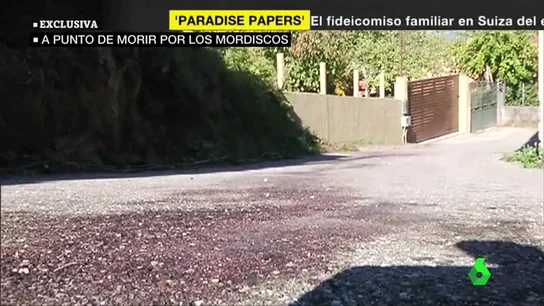 El reguero de sangre tras el ataque de los perros El reguero de sangre tras el ataque de los perros