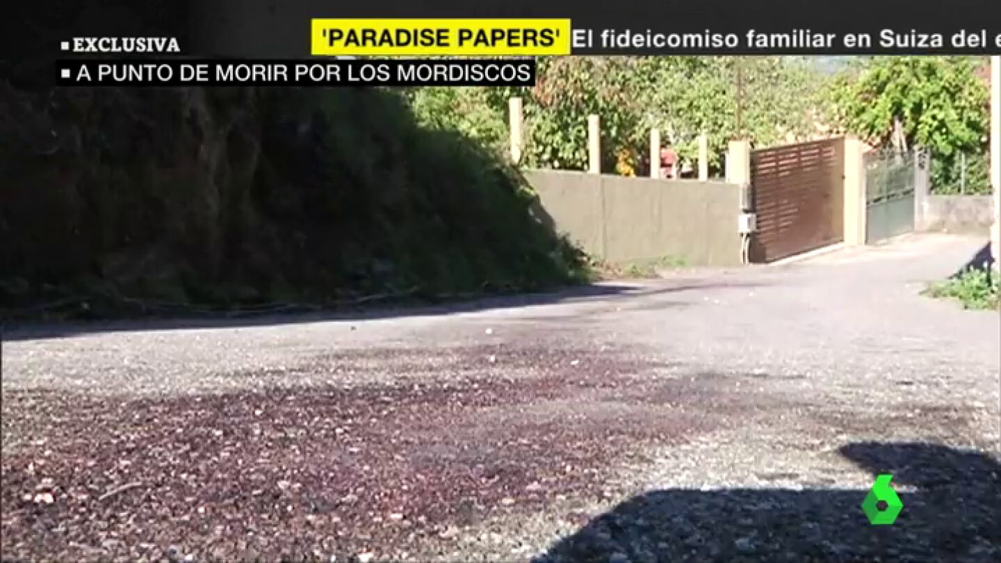 El reguero de sangre tras el ataque de los perros