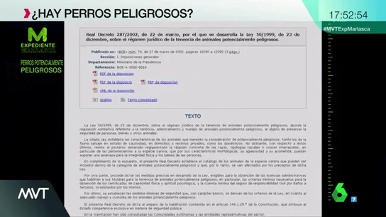 PERRO PERRO