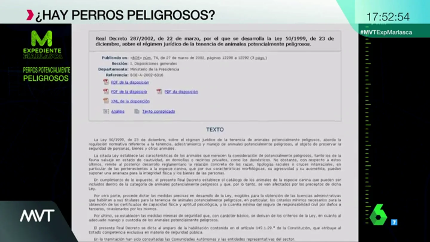 PERRO PERRO
