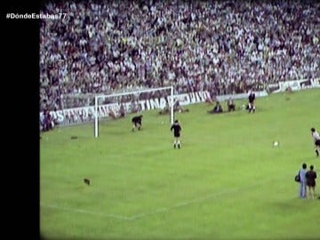 Copa del rey de 1977 Copa del rey de 1977