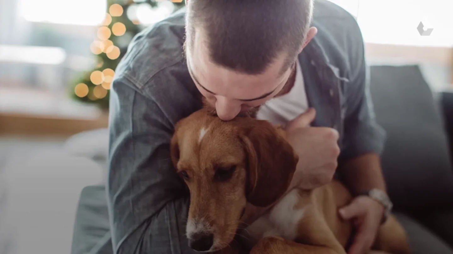 Hombre besando a un perro Mascotas