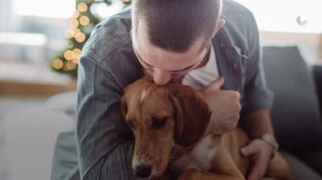 Hombre besando a un perro